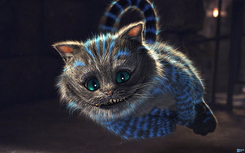 Alicia en el país de las maravillas, gato de Cheshire, Fondo de pantalla HD HD wallpaper