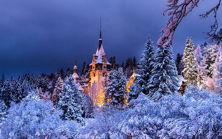 Румъния, Синая, замък Пелеш, зима, дървета, сняг, нощ, светлини, бял и кафяв замък, Румъния, Синая, Пелеш, замък, зима, дървета, сняг, нощ, светлини, HD тапет