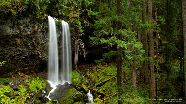 Grotto Falls, Umpqua National Forest, Oregon, Waterfalls, HD wallpaper