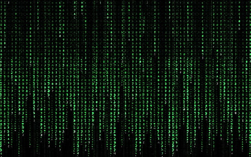 Matrix digital tapet, The Matrix, HD tapet HD wallpaper