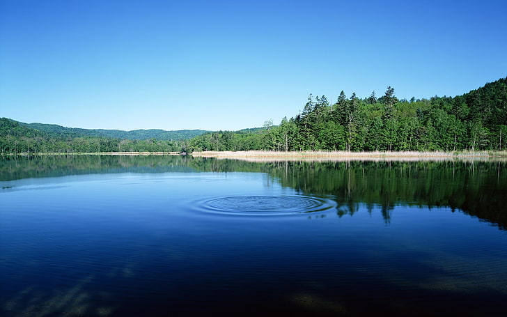 trees, reflection, lake, water, nature, landscape, HD wallpaper