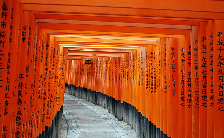 Fushimi Inari Taisha, Kyoto, Jepang, terowongan skrip jeruk kanji, Kota, Jepang, kyoto, fushimi inari taisha, Wallpaper HD
