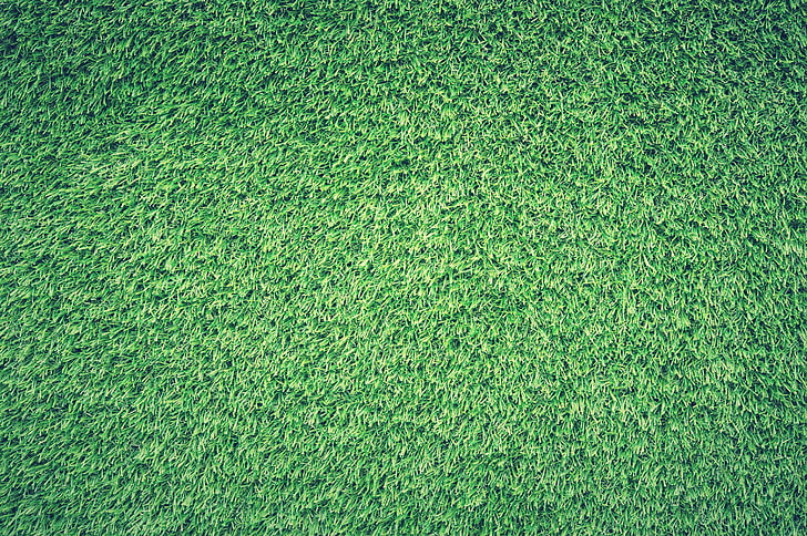 Césped de hierba verde HD fondos de pantalla descarga gratuita |  Wallpaperbetter