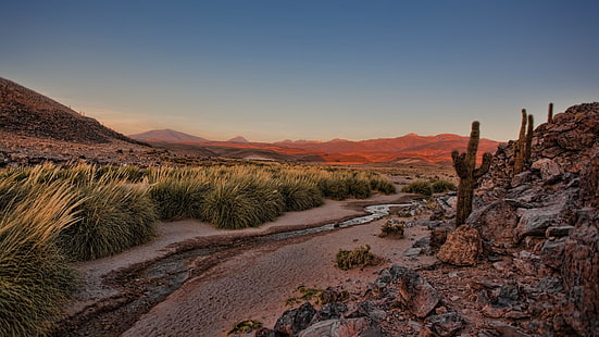 плато, оазис, Анди, сутрин, храсти, лоши земи, Чили, планина, скала, пустиня Атакама, пустиня, пейзаж, трева, поток, кактус, пустиня, небе, HD тапет HD wallpaper