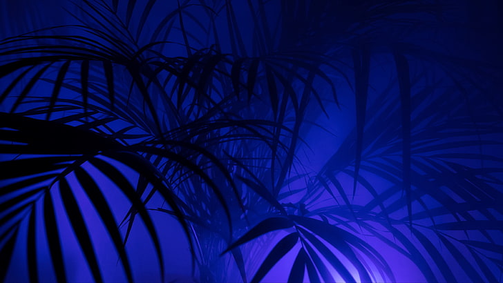 blue, leaves, leaf, plant, darkness, HD wallpaper