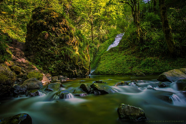 ต้นไม้, แม่น้ำ, การเปิดรับแสงเป็นเวลานาน, ป่า, ธรรมชาติ, ภูมิทัศน์, มอส, วอลล์เปเปอร์ HD