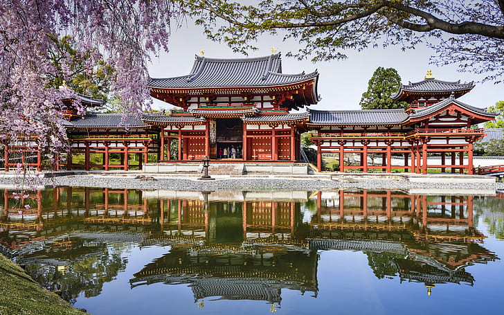 Byodo-In Temple, Japan, pond, reflection, spring, cherry, Temple, Japan, Pond, Reflection, Spring, Cherry, HD wallpaper